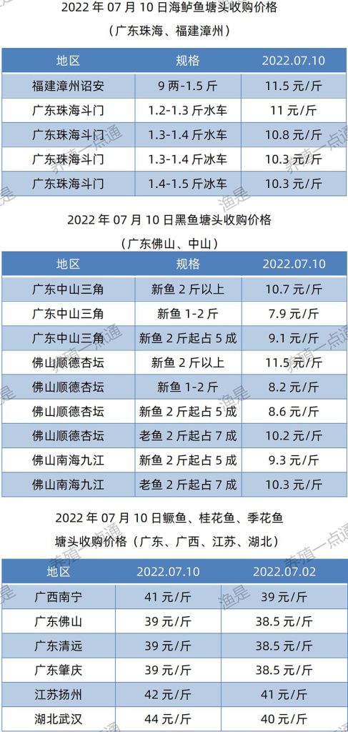 2022.07.10，海鲈、黑鱼、鳜鱼塘头收购价