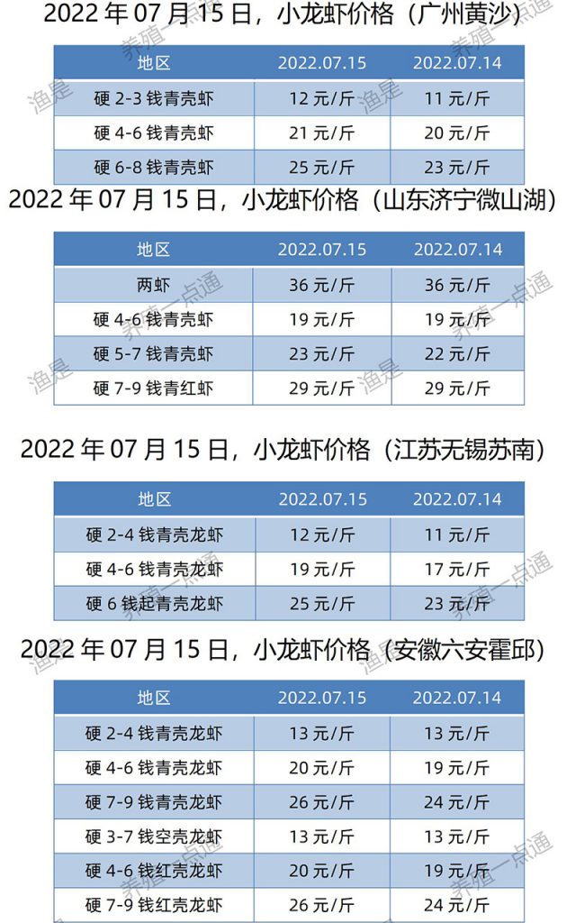 2022.07.15，小龙虾价格（江苏、安徽、山东、广东）