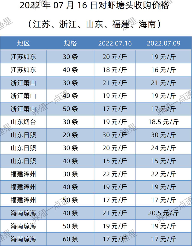 【渔是渔水宝】2022.07.16，南美白对虾塘头收购价格（江苏、山东、福建、海南、广东、广西）