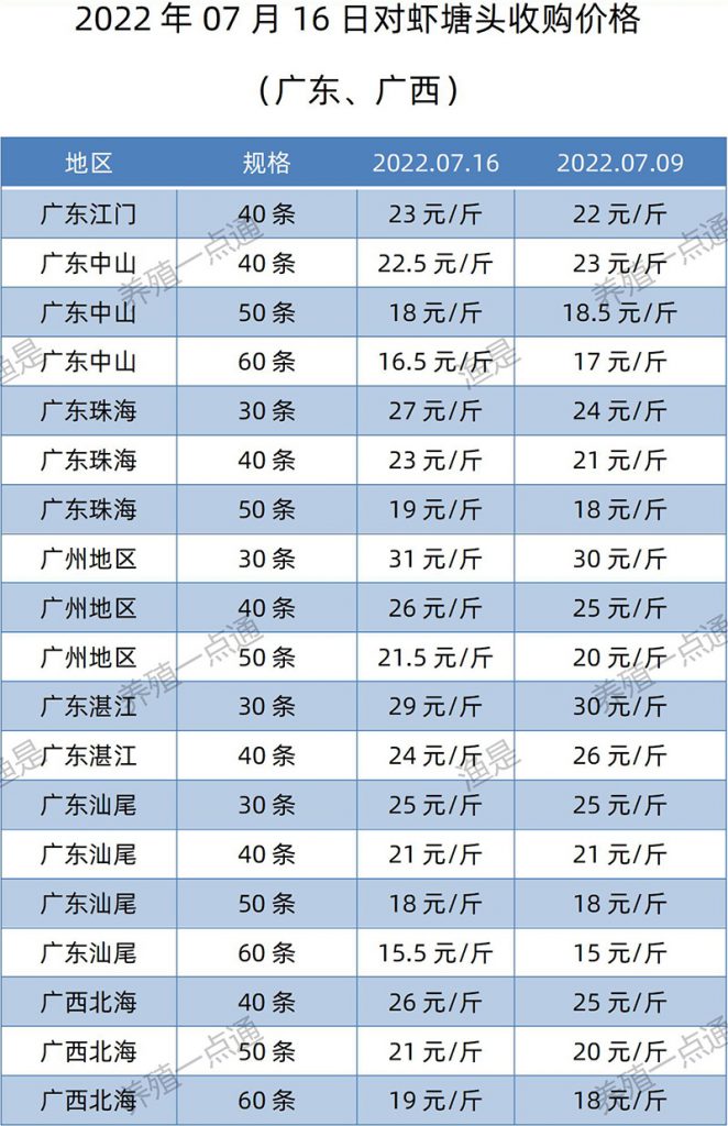 2022.07.16，南美白对虾塘头收购价格（广东、广西）