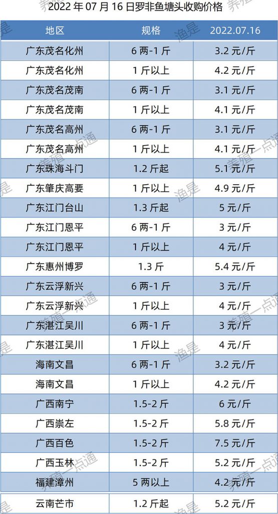 2022.07.16，罗非鱼塘头收购价。