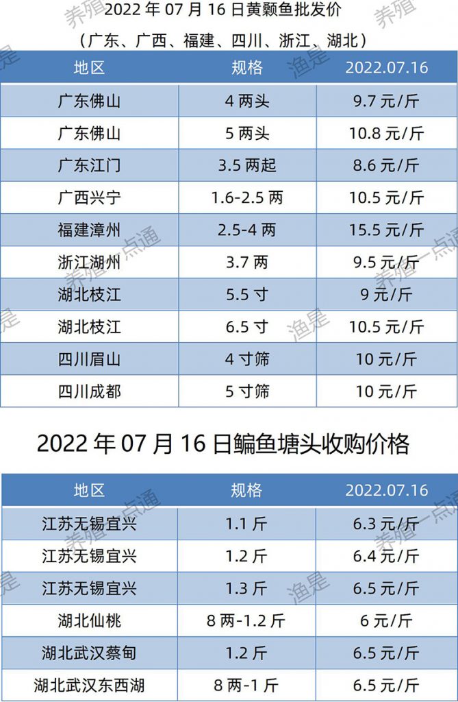 2022.07.16，黄颡、鳊鱼塘头收购价