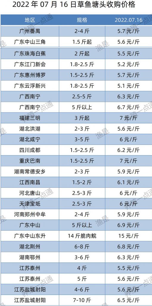 2022.07.16，草鱼塘头收购价