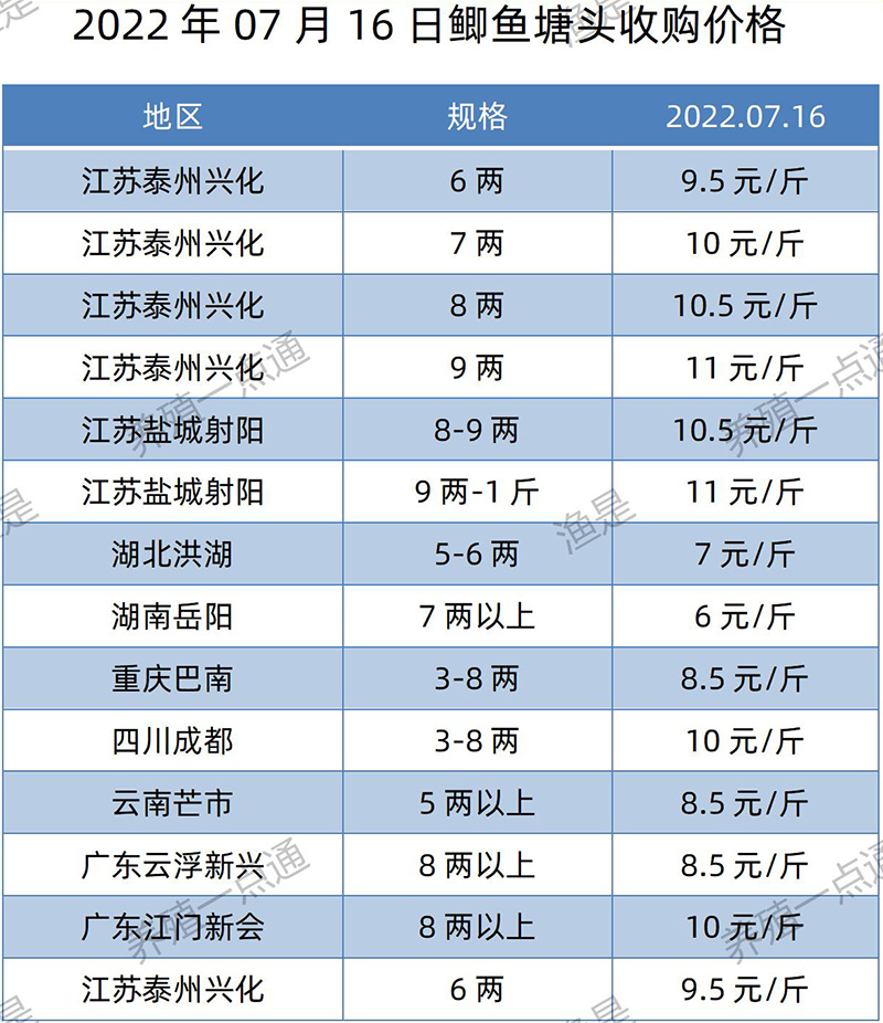 2022.07.16，鲫鱼塘头收购价