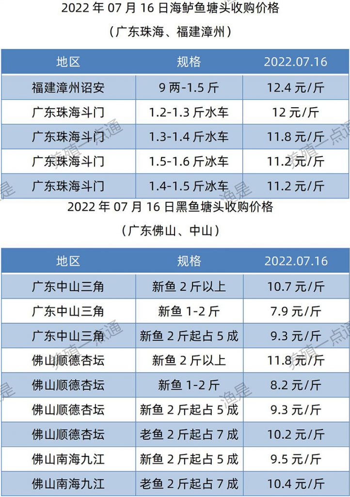 2022.07.16，海鲈、黑鱼塘头收购价