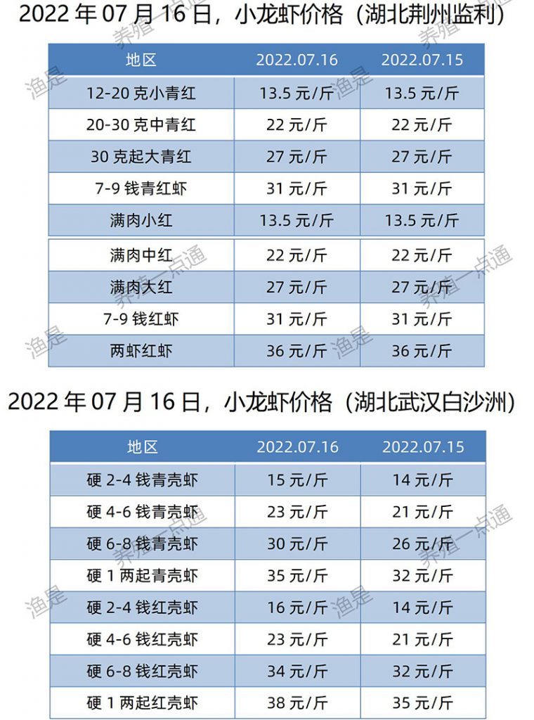 2022.07.16，小龙虾价格（湖北）