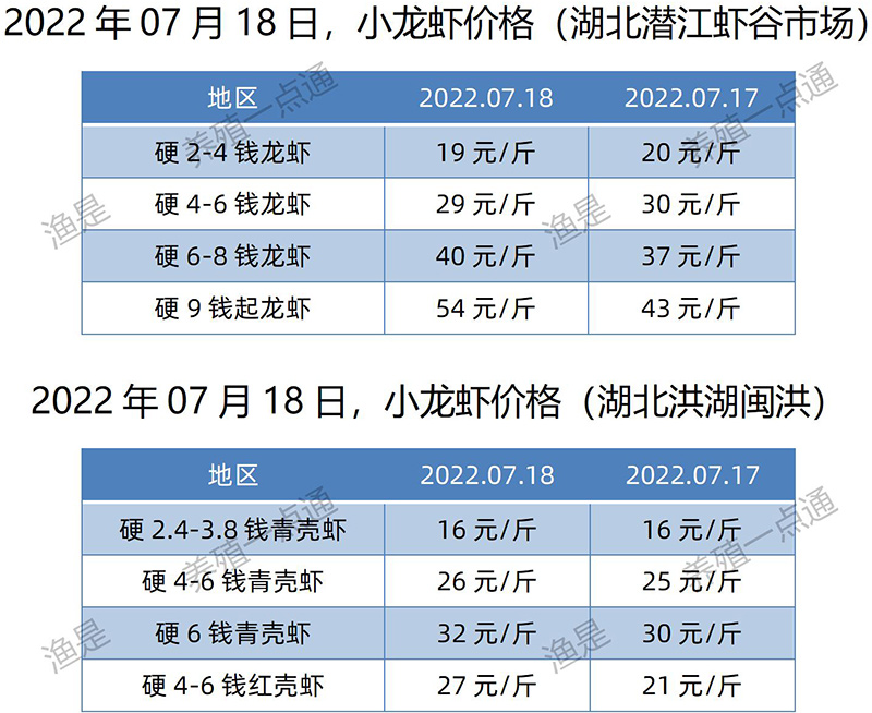 2022.07.18，小龙虾价格（湖北）