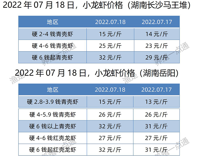 2022.07.18，小龙虾价格（湖南）