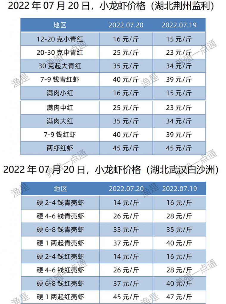 【渔是胆芪宝】2022.07.20，小龙虾价格（湖北、湖南、江苏、安徽、山东、广东）
