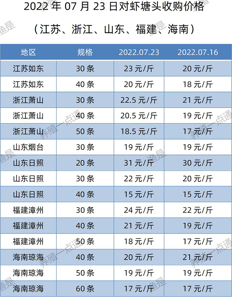 2022.07.23，南美白对虾塘头收购价格（江苏、山东、福建、海南）