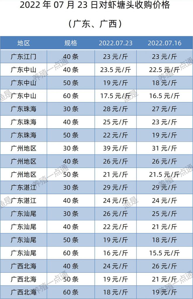 2022.07.23，南美白对虾塘头收购价格（广东、广西）