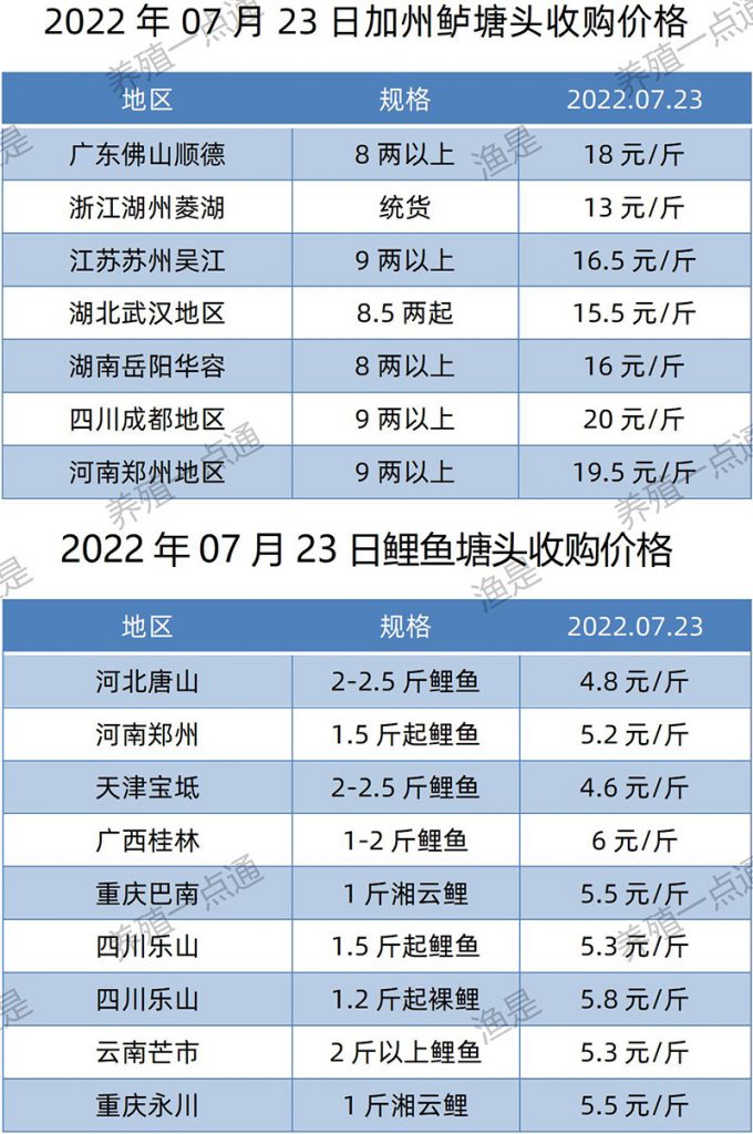 2022.07.23，加州鲈、鲤鱼塘头收购价