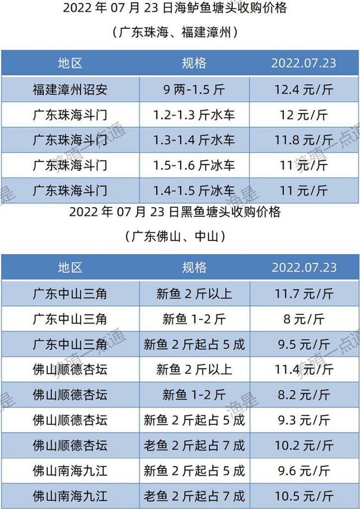 2022.07.23，海鲈、黑鱼塘头收购价