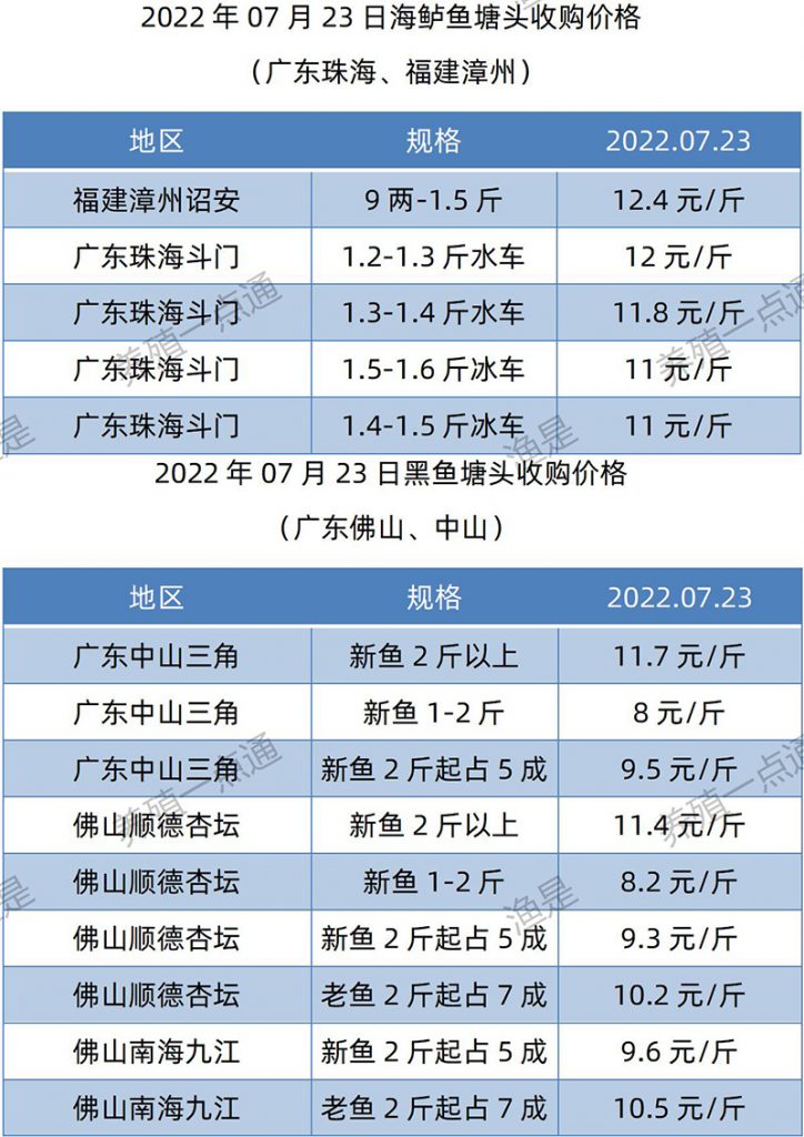 2022.07.23，海鲈、黑鱼塘头收购价