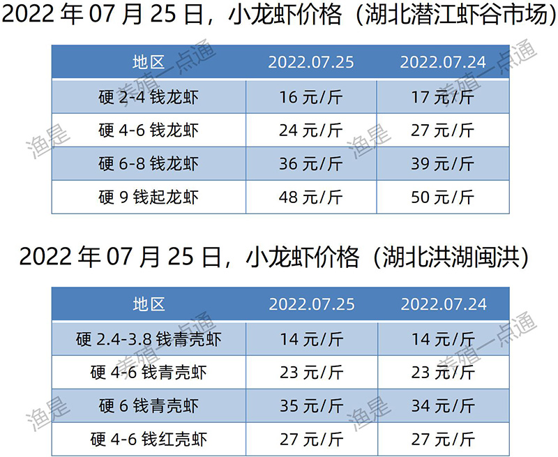 2022.07.25，小龙虾价格（湖北）