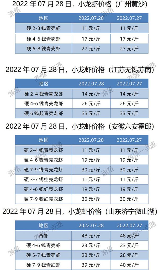 2022.07.28，小龙虾价格（江苏、安徽、山东、广东）