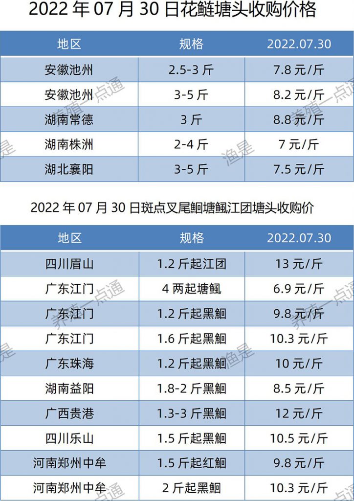 2022.07.30，花鲢、斑点叉尾鮰塘头收购价