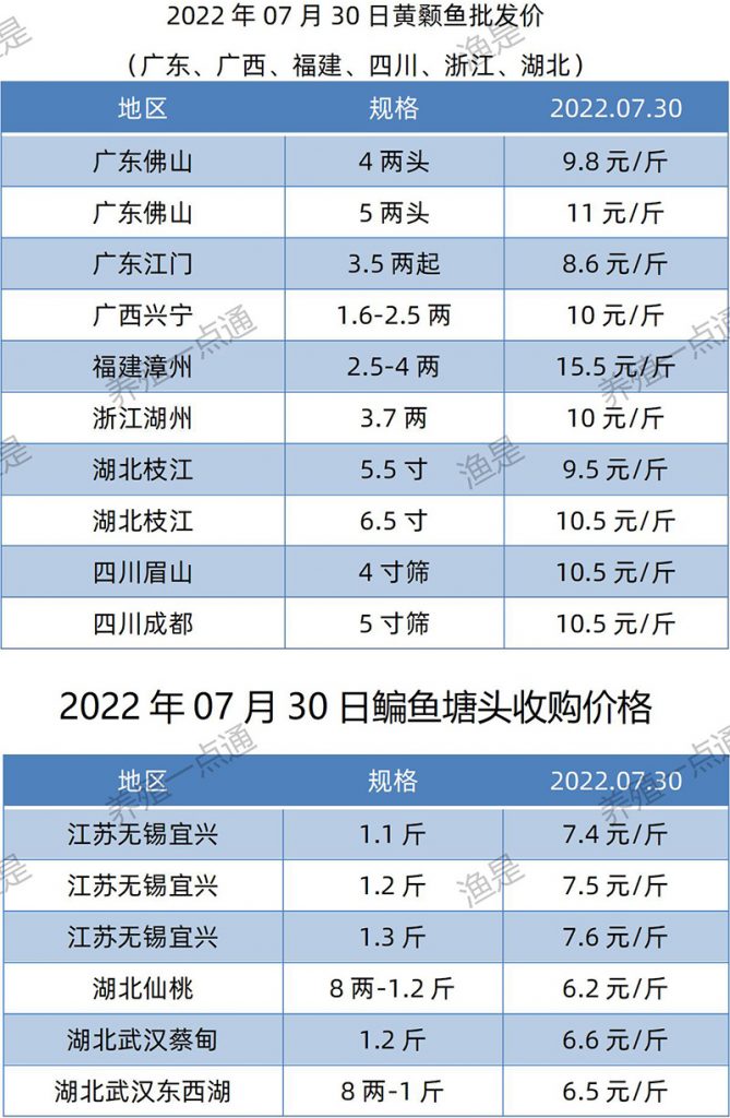 2022.07.30，黄颡鱼、鳊鱼塘头收购价