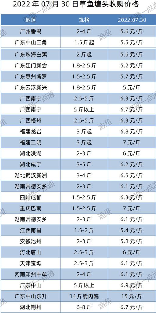 【渔是氧宝】2022.07.30，罗非鱼、花鲢、斑叉、黄颡、鳊鱼、加州鲈、鲤鱼、草鱼、鲫鱼、海鲈、黑鱼、鳜鱼、牛蛙塘头收购价