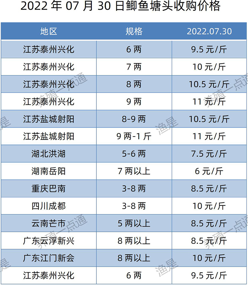 2022.07.30，鲫鱼塘头收购价