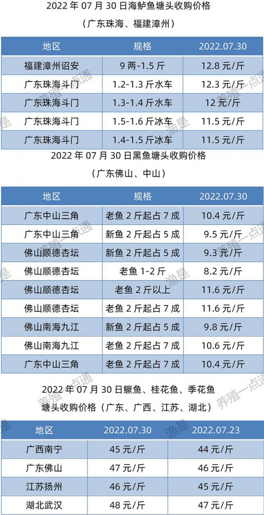 2022.07.30，海鲈、黑鱼、鳜鱼塘头收购价