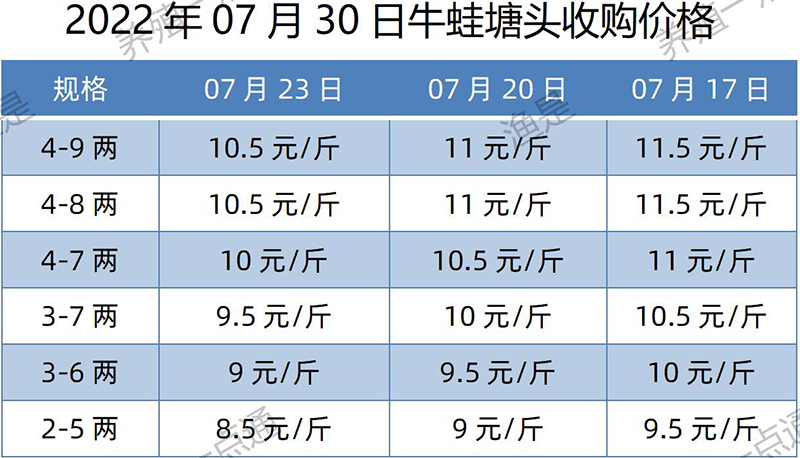 2022.07.30，牛蛙塘头收购价