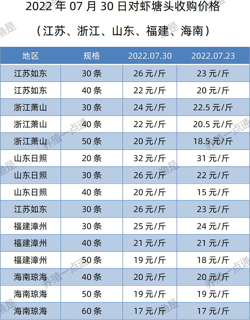 2022.07.30，南美白对虾塘头收购价格（江苏、山东、福建、海南）