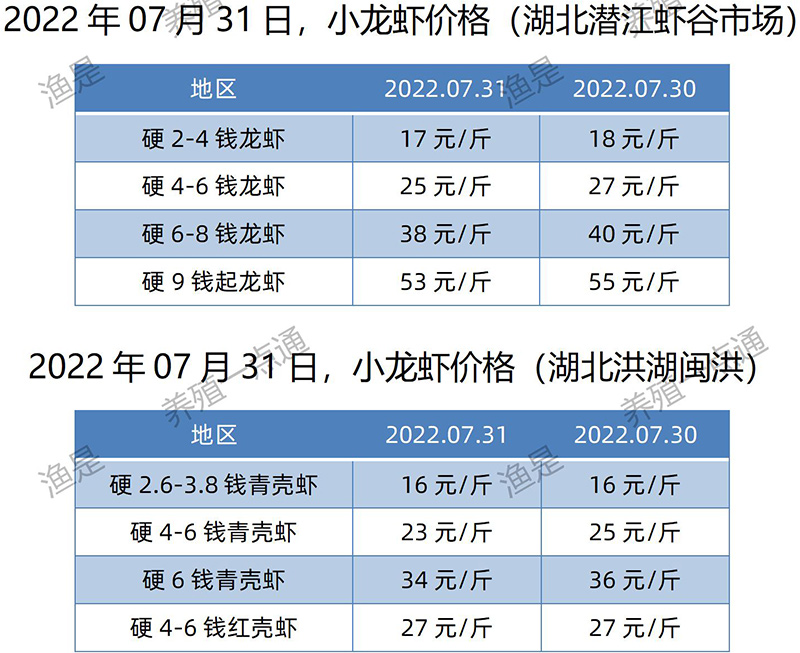 2022.07.31，小龙虾价格（湖北）