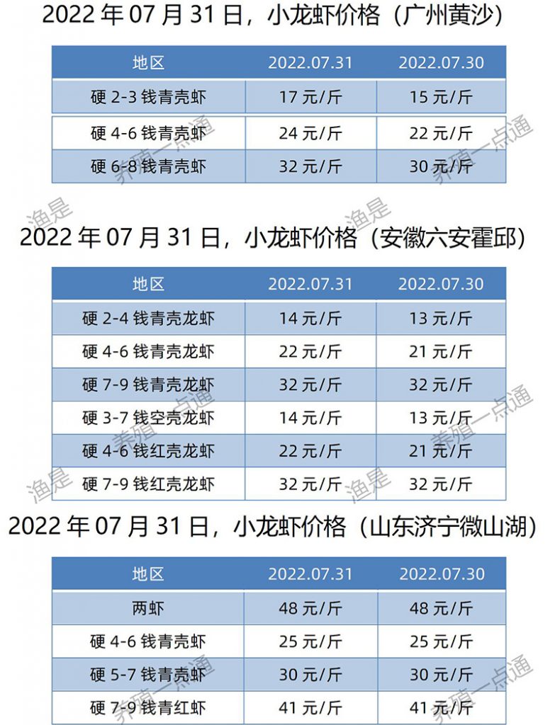 2022.07.31，小龙虾价格（江苏、安徽、山东、广东）