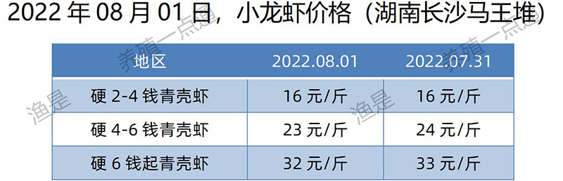2022.08.01，小龙虾价格（湖南）