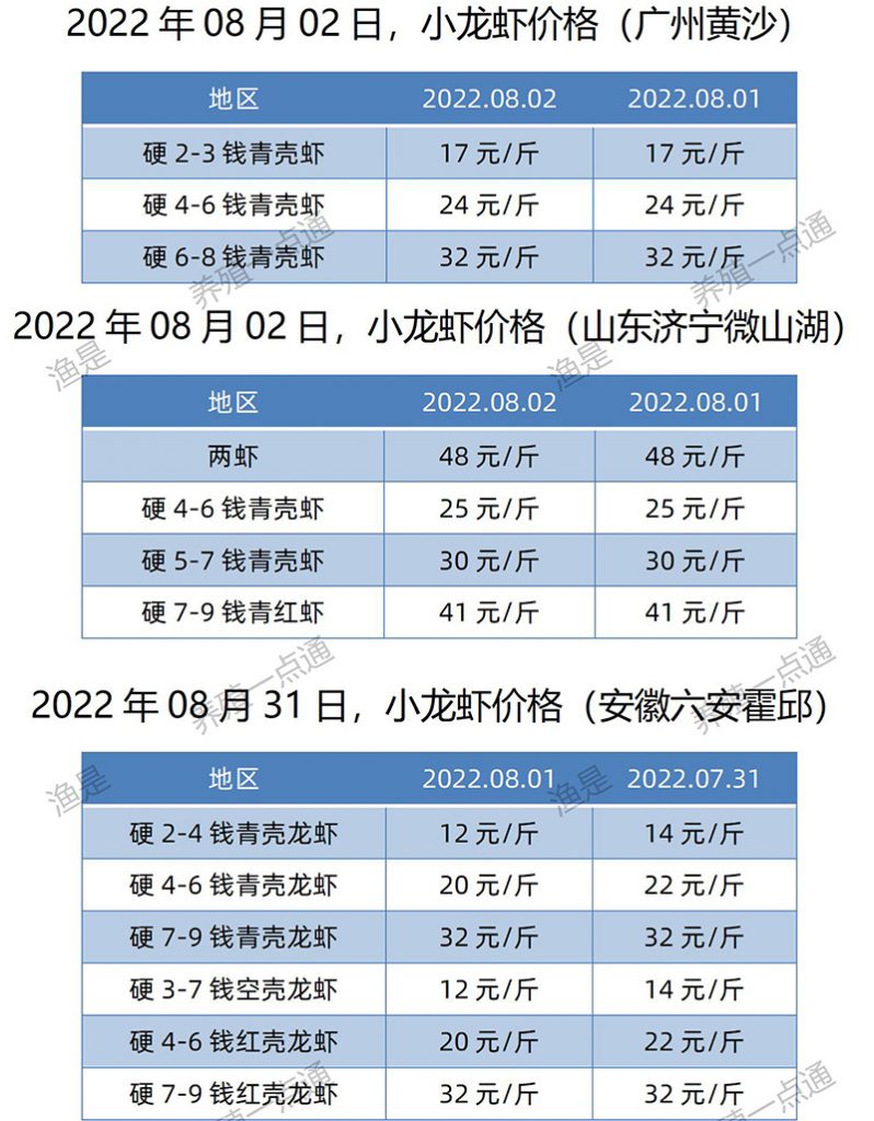2022.08.02，小龙虾价格（江苏、安徽、山东、广东）