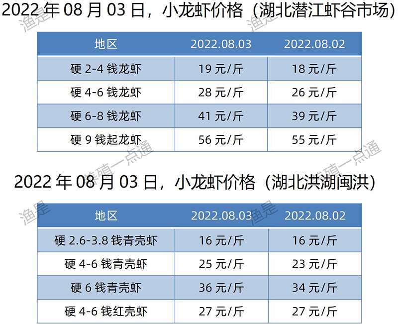 2022.08.03，小龙虾价格（湖北）