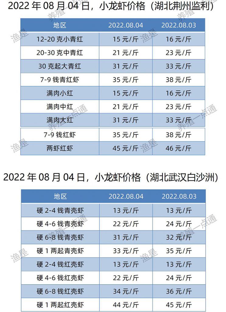 2022.08.04，小龙虾价格（湖北）