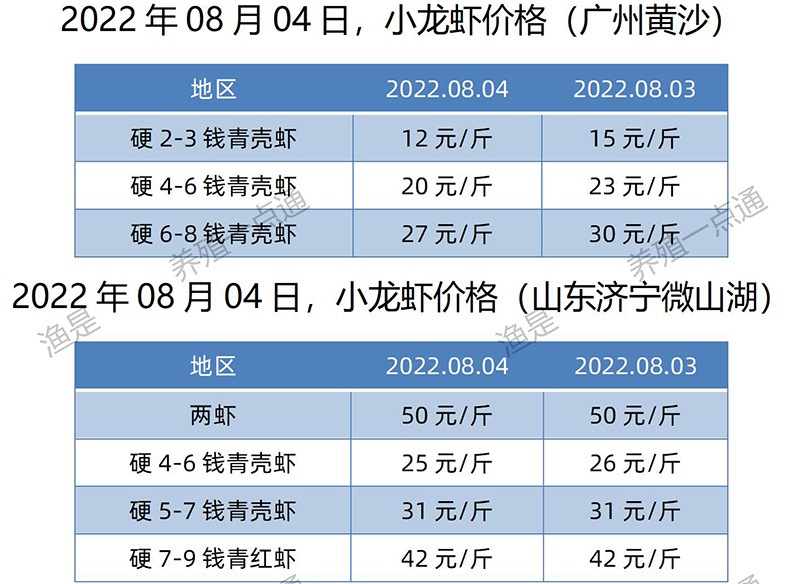 2022.08.04，小龙虾价格（山东、广东）