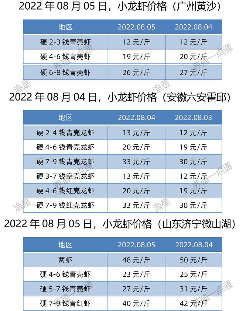 2022.08.05，小龙虾价格（安徽、山东、广东）