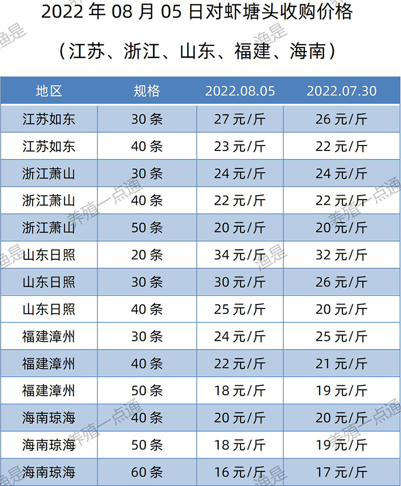 2022.08.05，南美白对虾塘头收购价格（江苏、山东、福建、海南）