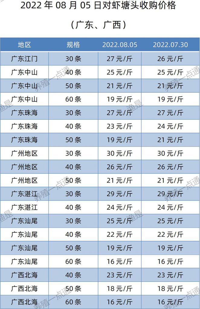 2022.08.05，南美白对虾塘头收购价格（广东、广西）