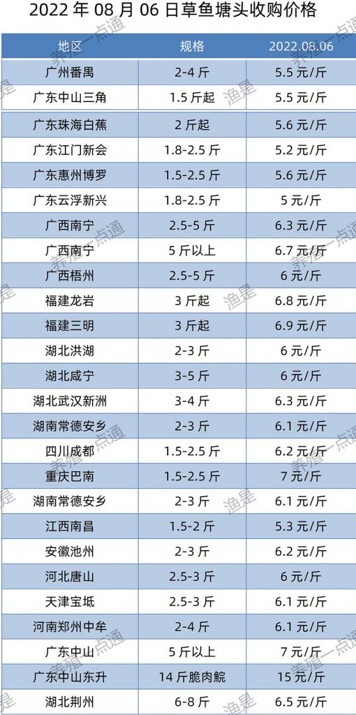 2022.08.06，草鱼塘头收购价