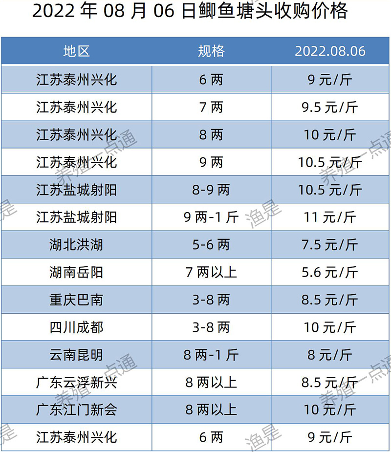 2022.08.06，鲫鱼塘头收购价