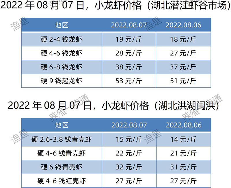 2022.08.07，小龙虾价格（湖北）