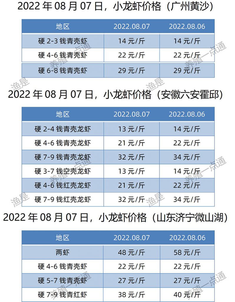 2022.08.07，小龙虾价格（江苏、安徽、山东、广东）