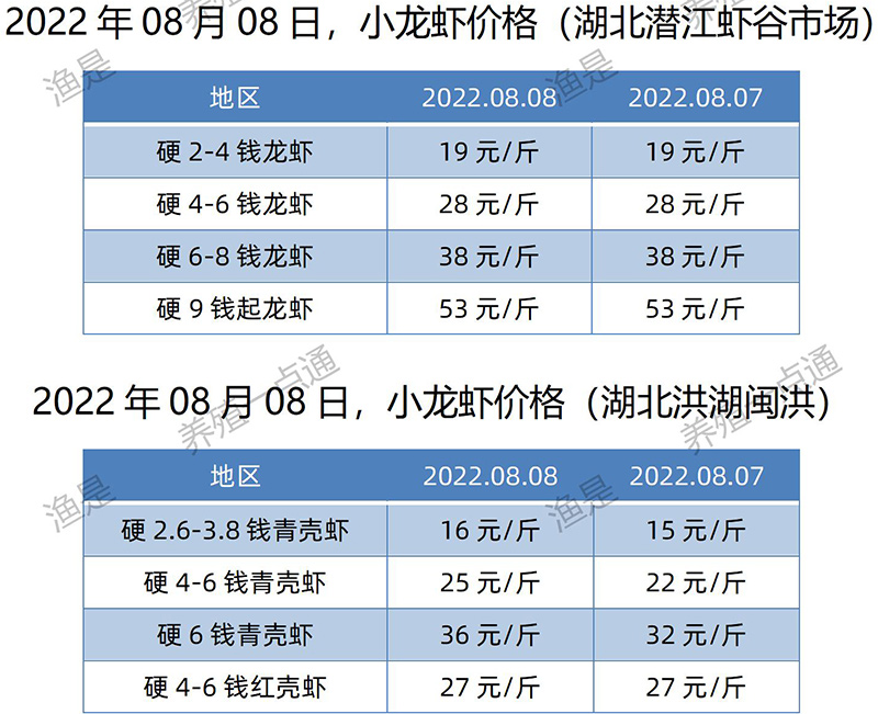 2022.08.08，小龙虾价格（湖北）