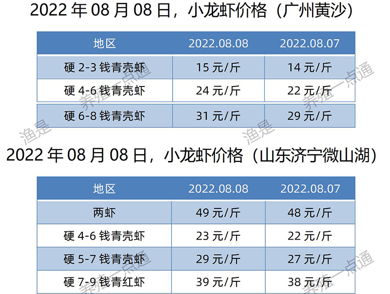 2022.08.08，小龙虾价格（山东、广东）