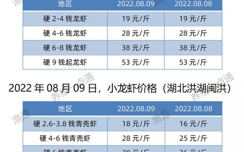 【渔是菌底宝】2022.08.09，小龙虾价格（湖北、湖南、山东、广东）