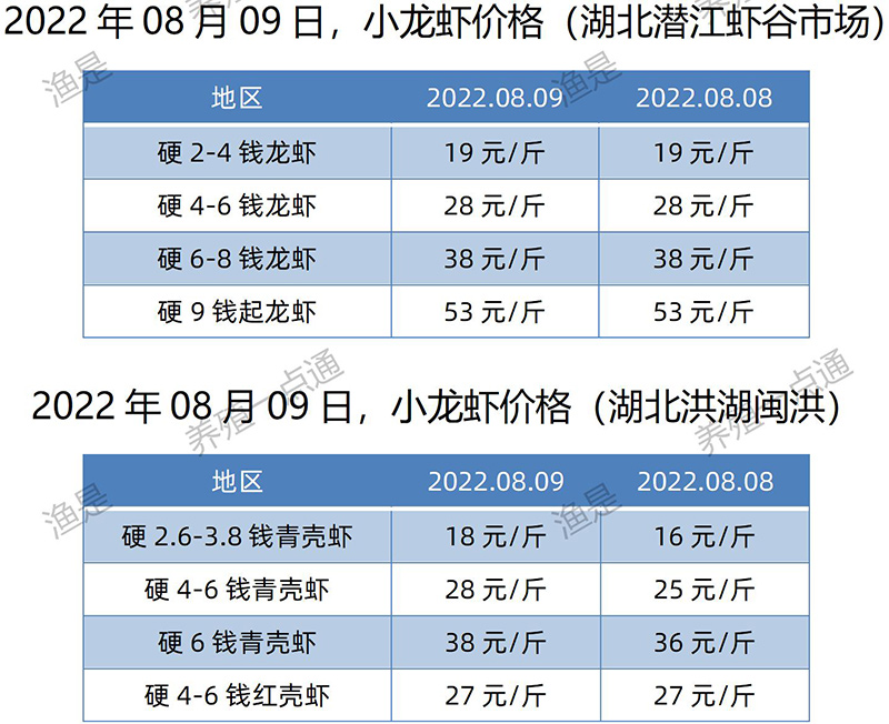 【渔是菌底宝】2022.08.09，小龙虾价格（湖北、湖南、山东、广东）