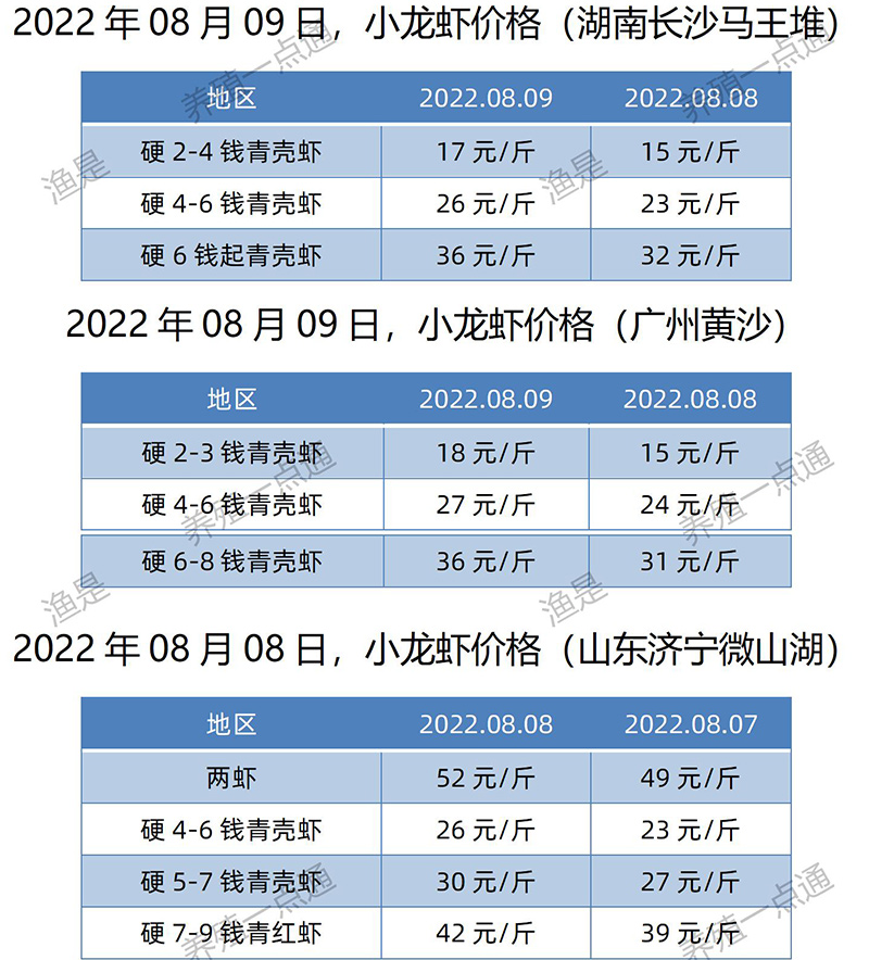 2022.08.09，小龙虾价格（湖南、山东、广东）