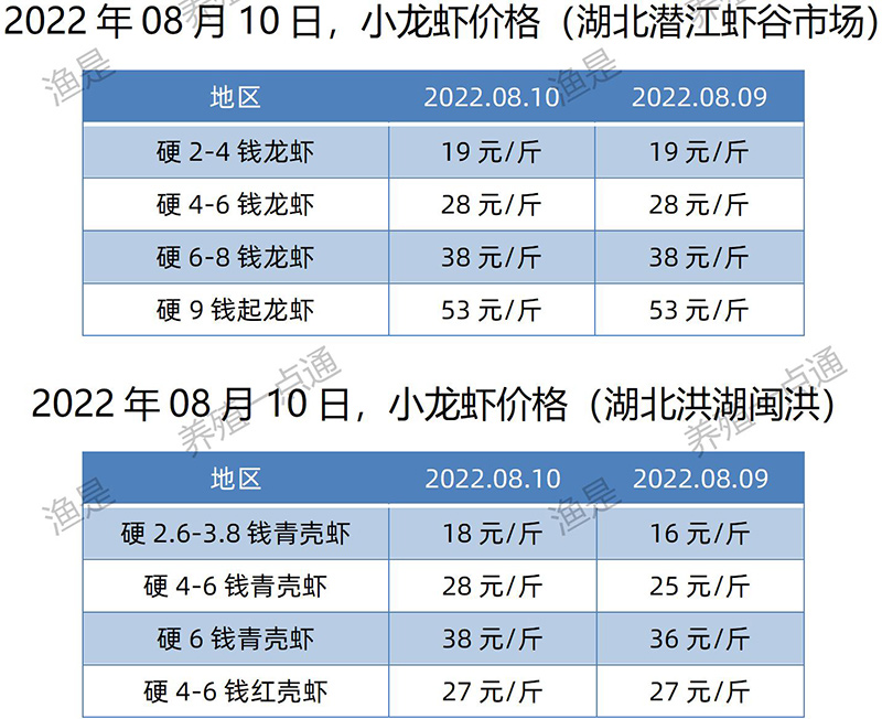 2022.08.10，小龙虾价格（湖北）