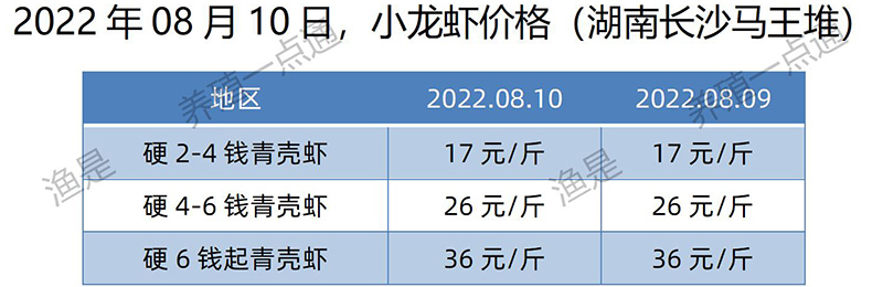 2022.08.10，小龙虾价格（湖南）