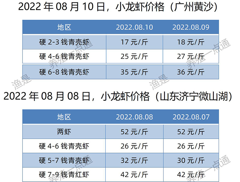 2022.08.10，小龙虾价格（山东、广东）