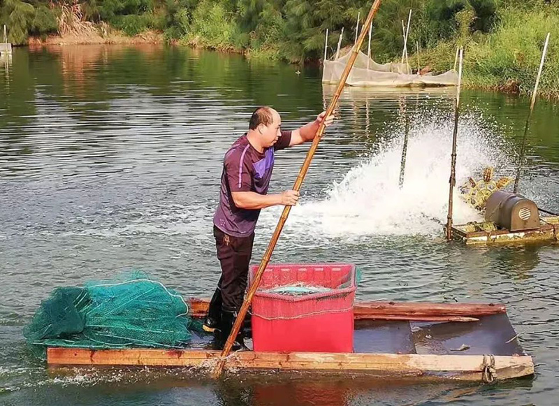 秋后虾塘管理，增氧依旧是重点。